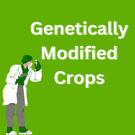 What Are Genetically Modified Crops Heres All You Want To Know