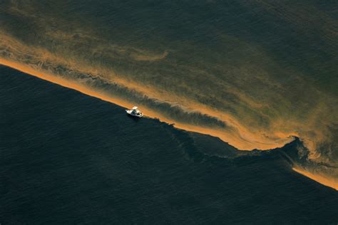 Bp Oil Spill In The Gulf Of Mexico Los Angeles Times