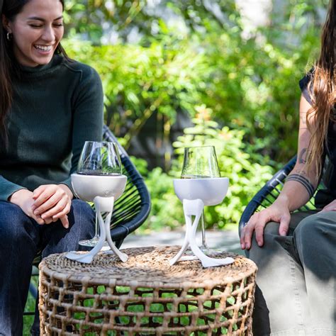 The Best Wine Chiller For Every Style Wine With Paige