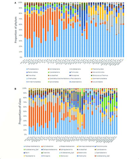 Relative Abundance Of Bacterial Phyla A And Classes B At Each