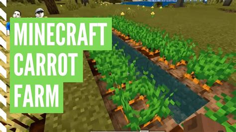 How To Get Carrots In Minecraft Minecraft Carrot Farm Youtube