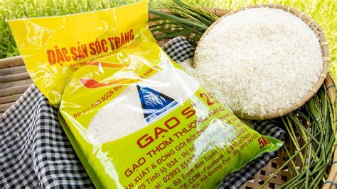 Vietnamese Rice ST25 Named World S Best Rice 2023