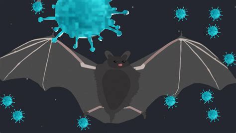 Bat Immune System Makes Virus More Deadly - Creative Diagnostics