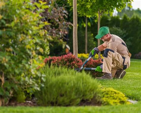 Todas Las Funciones De Un Jardinero Profesional Cursos