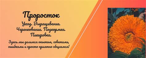 Проросток! 2025 | ВКонтакте