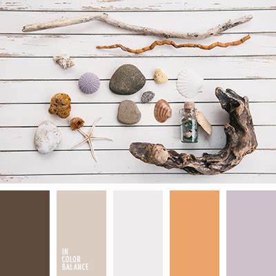темно-коричневый и серый | IN COLOR BALANCE