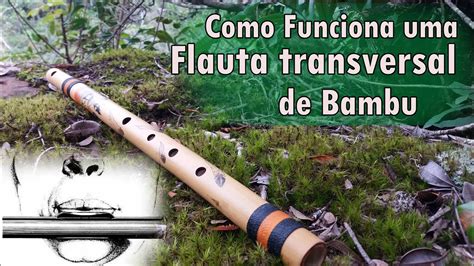 Como Funciona Uma Flauta Transversal De Bambu YouTube