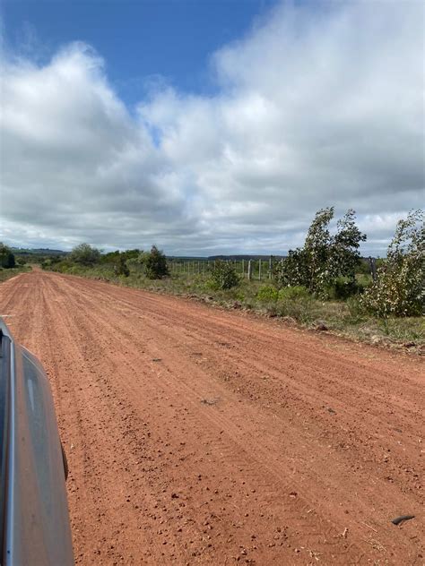 Campo En Uruguay De Hect Reas Churruarin