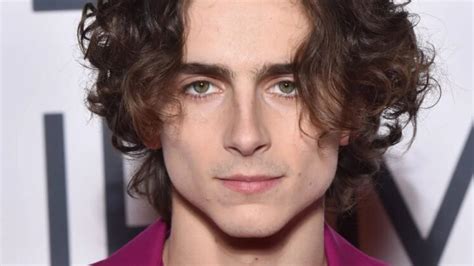 El actor Timothée Chalamet es gay en la vida real Homosensual