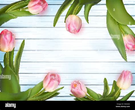 Tulips Blue Background Stock Vector Images Alamy