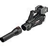 Parkside Performance V Cordless Turbine Leaf Blower Pptlba Li