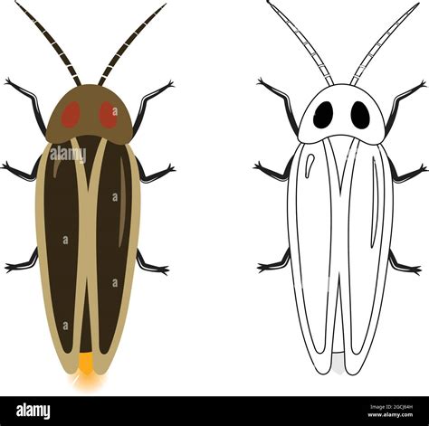 Entomologische Insekten Stock Vektorgrafiken Kaufen Alamy