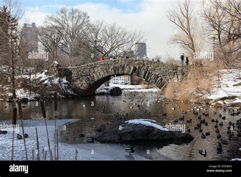 New York Ny Usa 18th February 2015 Winter Day Scenery With Stone