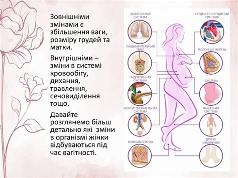 Зміни в організмі жінки під час вагітності