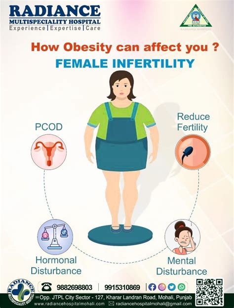 Excess Weight Affects Fertility