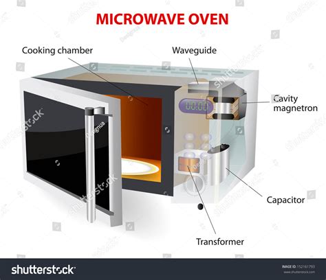 Microwave Oven. Vector Diagram. How Does This Work. Microwave Oven, Microwave, Is A Kitchen ...