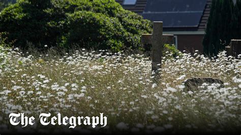 Disrespectful Council Rewilding Scheme Leaves Families Unable To Find