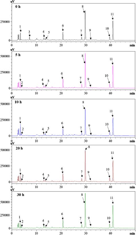 Hplc Dad Chromatograms At 280 Nm Of The Detected Compounds In