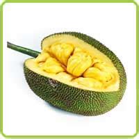 Jackfruit gallery | Jackfruit varieties | Blackgold, Cheena, Cochin ...