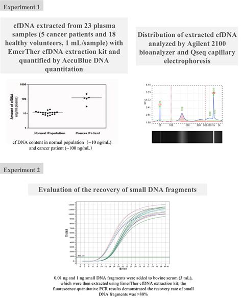 cfDNA Extraction Kit | EmerTher