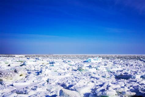 冬のひがし北海道では外せない流氷観光で見られる生き物たち ひがし北海道 旅広場