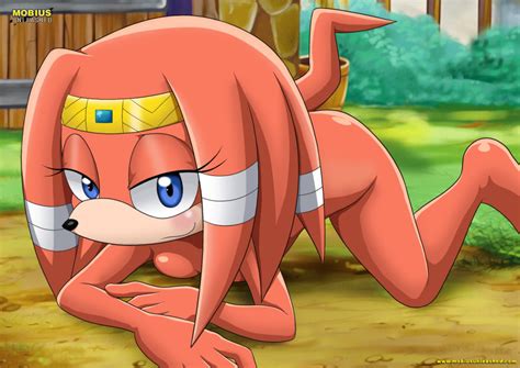 Rule 34 Ass Horny Naked Sonic Series Tikal The Echidna 2530572