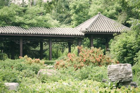 Beautiful View of a Traditional Pagoda-style Roof Surrounded by Designed Garden Stock Photo ...