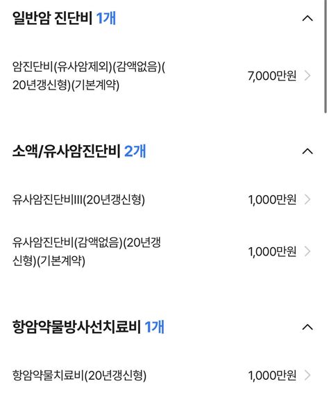 블라인드 보험 기존 Kb손보 암보험 월납 26300원짜리