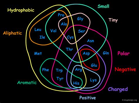 Protein Structure - Drug Design Org 