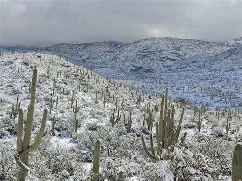 A Bunch Of Photos Of Todays Snow Across Tucson ️💕 Tucson Life