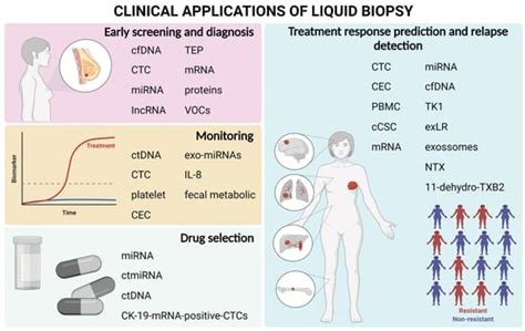 Ijms Free Full Text Liquid Biopsy As A Tool For The Diagnosis