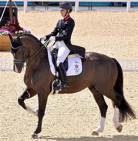 Dressage and Dressage riding everything you need to know.