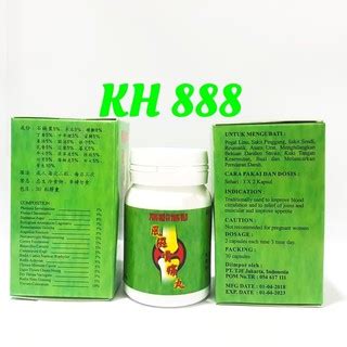 Jual Obat Cina China Fung Seh Gu Tong Wan Obat Asam Urat Rematik