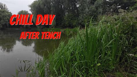 Chill Out Day Tench Fishing At Willows Hull June 2024 YouTube