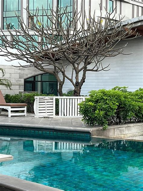 Davis Bangkok Prices And Hotel Reviews Thailand
