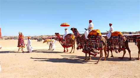 Bikaner Camel Festival 2024 | Guide to the Camel Fair in Rajasthan