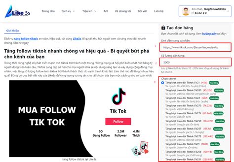 C Ch Buff Follow Tiktok C C Nhanh V I Like S Vn