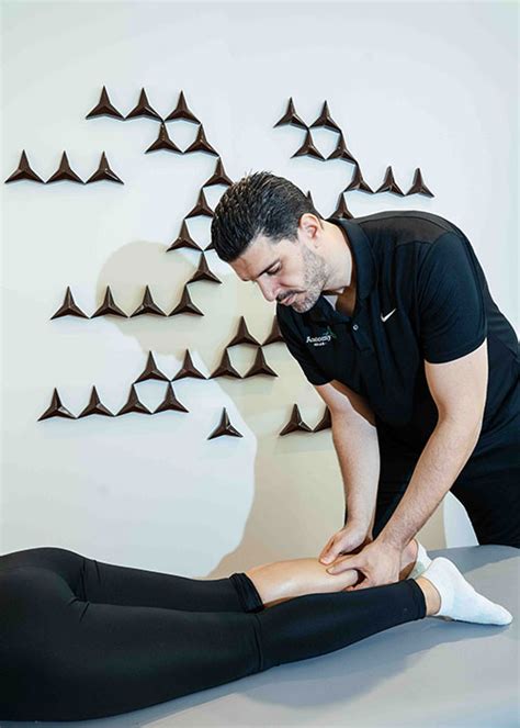 Best Physiotherapy In Dubai Rehabilitation Centers Anatomy Rehab