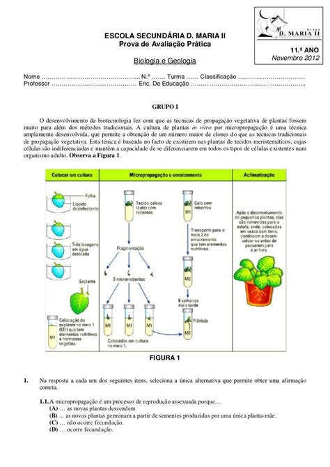 Prova De Avaliação Pratica