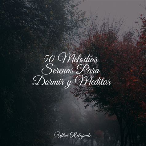 Melod As Serenas Para Dormir Y Meditar Album By Academia De M Sica