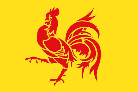 Buy Walloon Region Flag Online Printed And Sewn Flags 13 Sizes