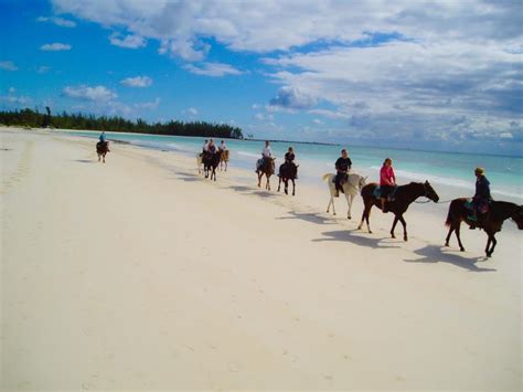 Excursions Bahamas Cruise Excursions
