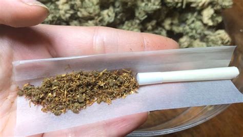 Maconha Tabaco Um Combo Que Todo Mundo Conhece