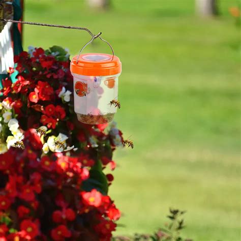 Trap Fly Solar Trap Led Moth For Full Metal Jacket Dip Spray For