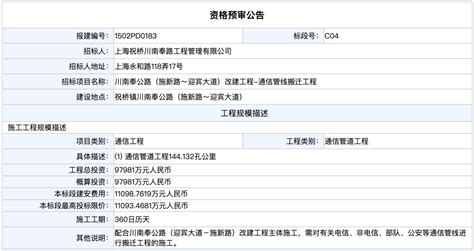 进展 川南奉公路（迎宾大道 施新路）改扩建道路