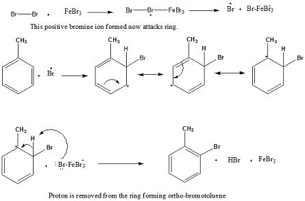 Draw The Mechanism For The Bromination Of Toluene Homework Study