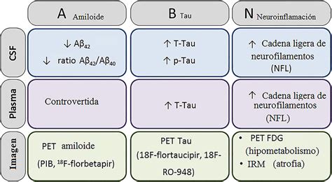 La Clasificaci N De Neurodegeneraci N Basada En La Prote Na Tau Y El