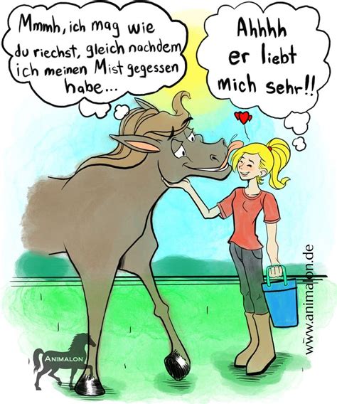 Lecker Abschlecken Pferdewitze Lustiges Pferd Bilder Lustige Comics