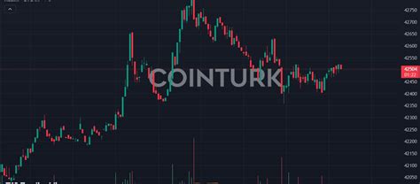 Bitcoin de BTC Yeni Yıl Hedefi Yükselişi Getirebilecek Durumlar