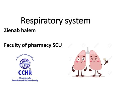 Solution Respiratory System Part 1 Notes Studypool